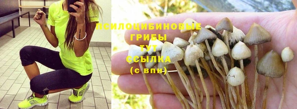 MESCALINE Новозыбков