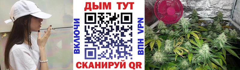 Бошки марихуана Amnesia  Чкаловск 
